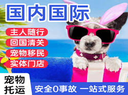 地窝堡航空运输国际宠物托运 【国